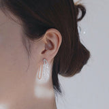 Shining Earrings